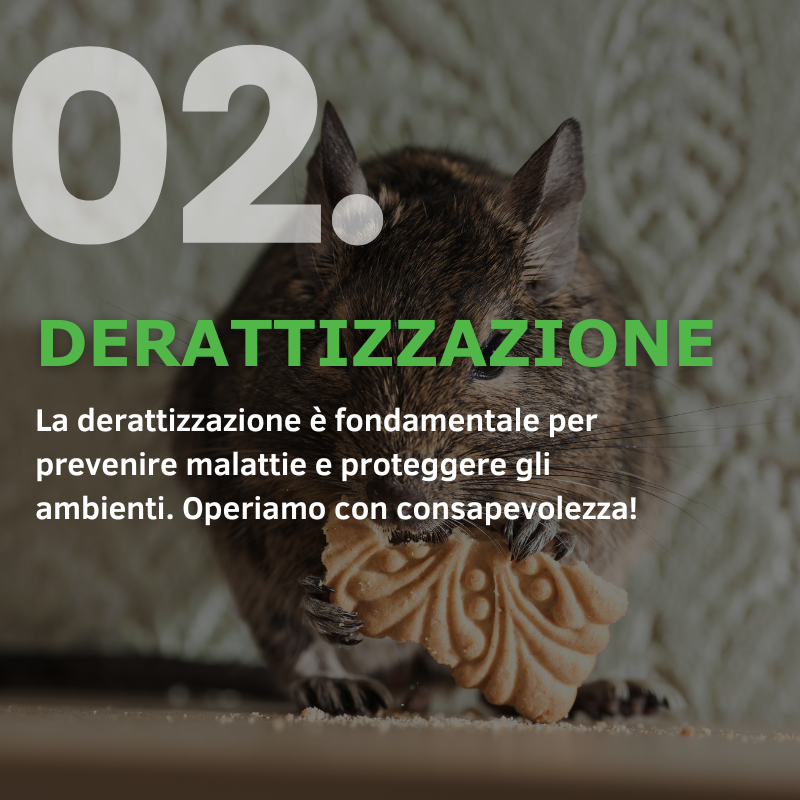 derattizzazione professionale
