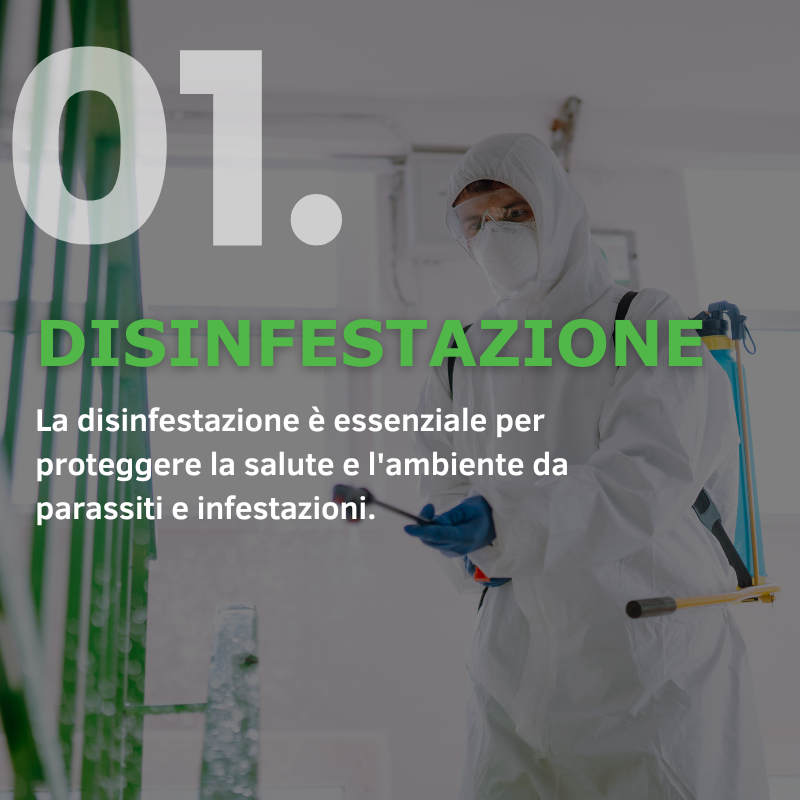 disinfestazione professionale
